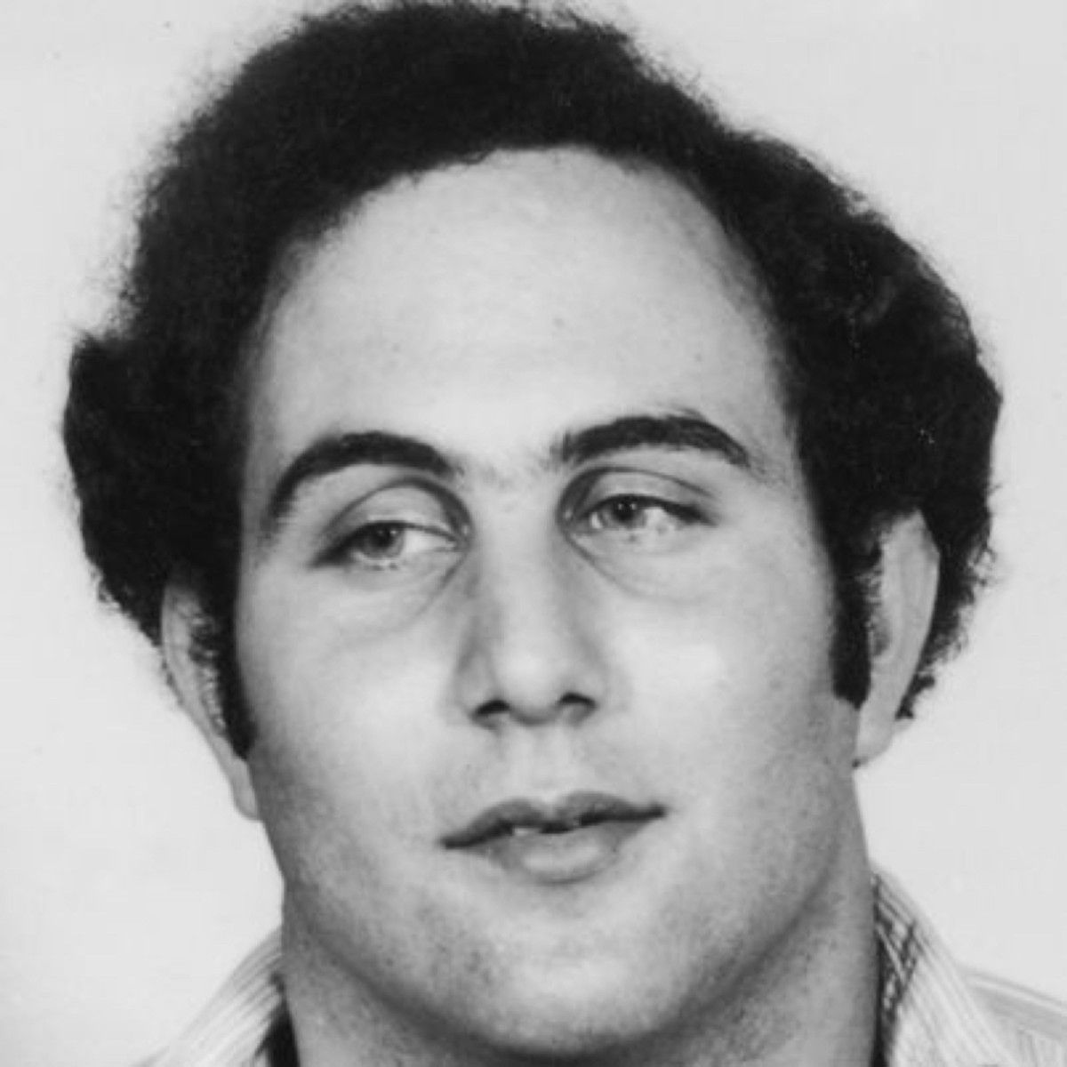 David Berkowitz